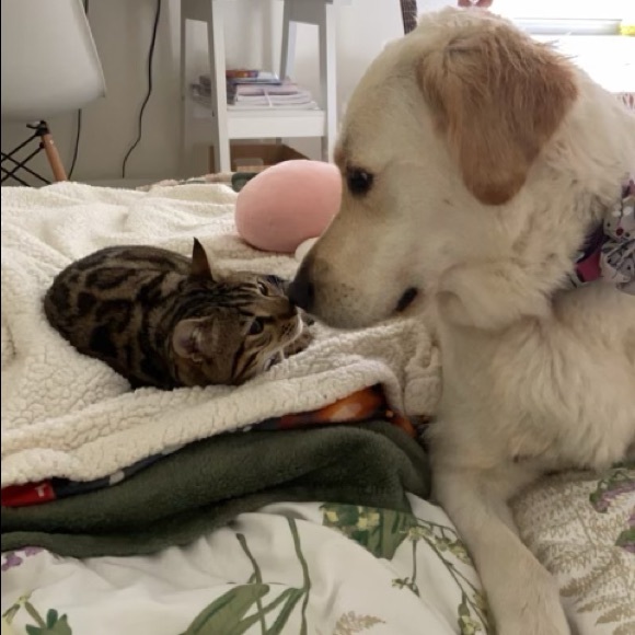 Meet your Posher, Andrea - Picture 3 of 4